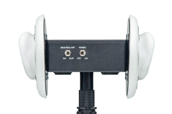 3Dio Free Space XLR Binaural Microphone - Main Image