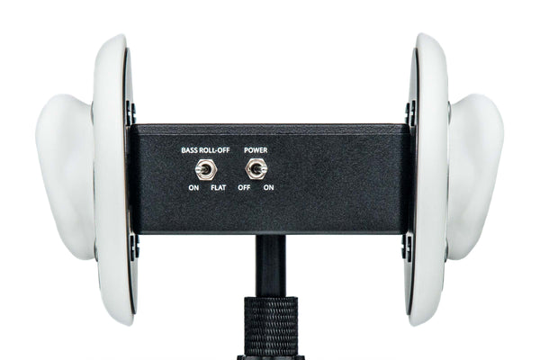 Free Space Binaural Microphone